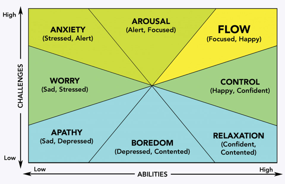 FLOW and other mental states