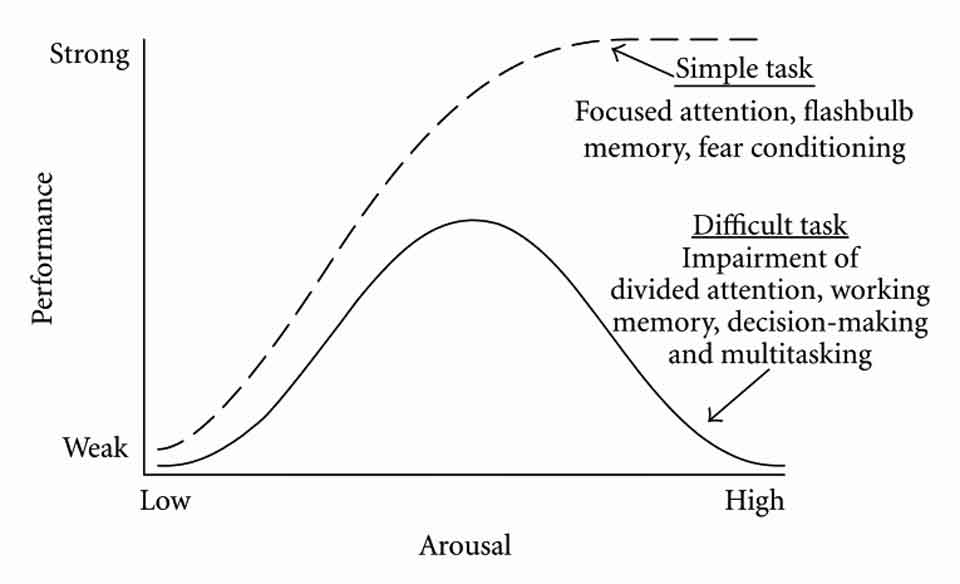 Yerkes and Dodson Curve