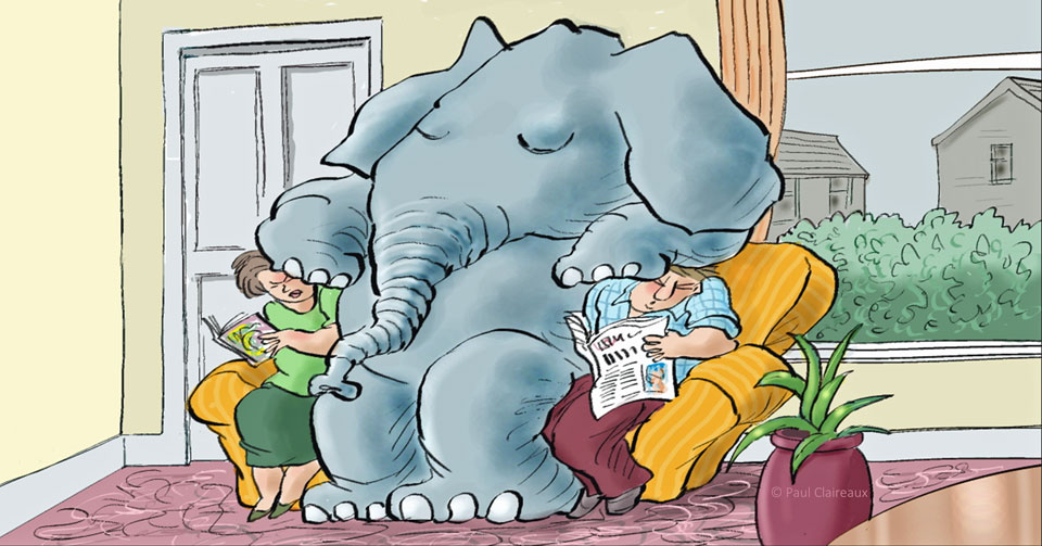 Elephant in the room.